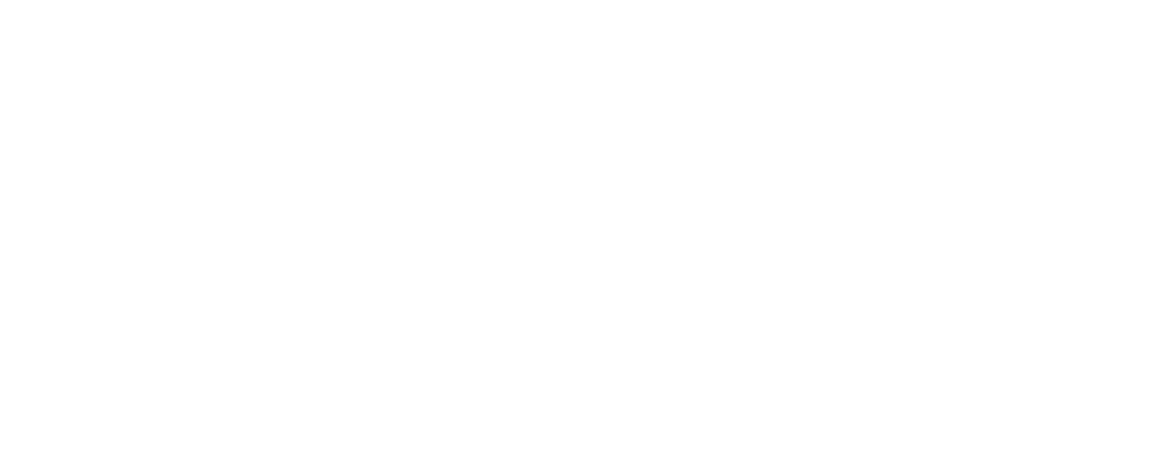Photon